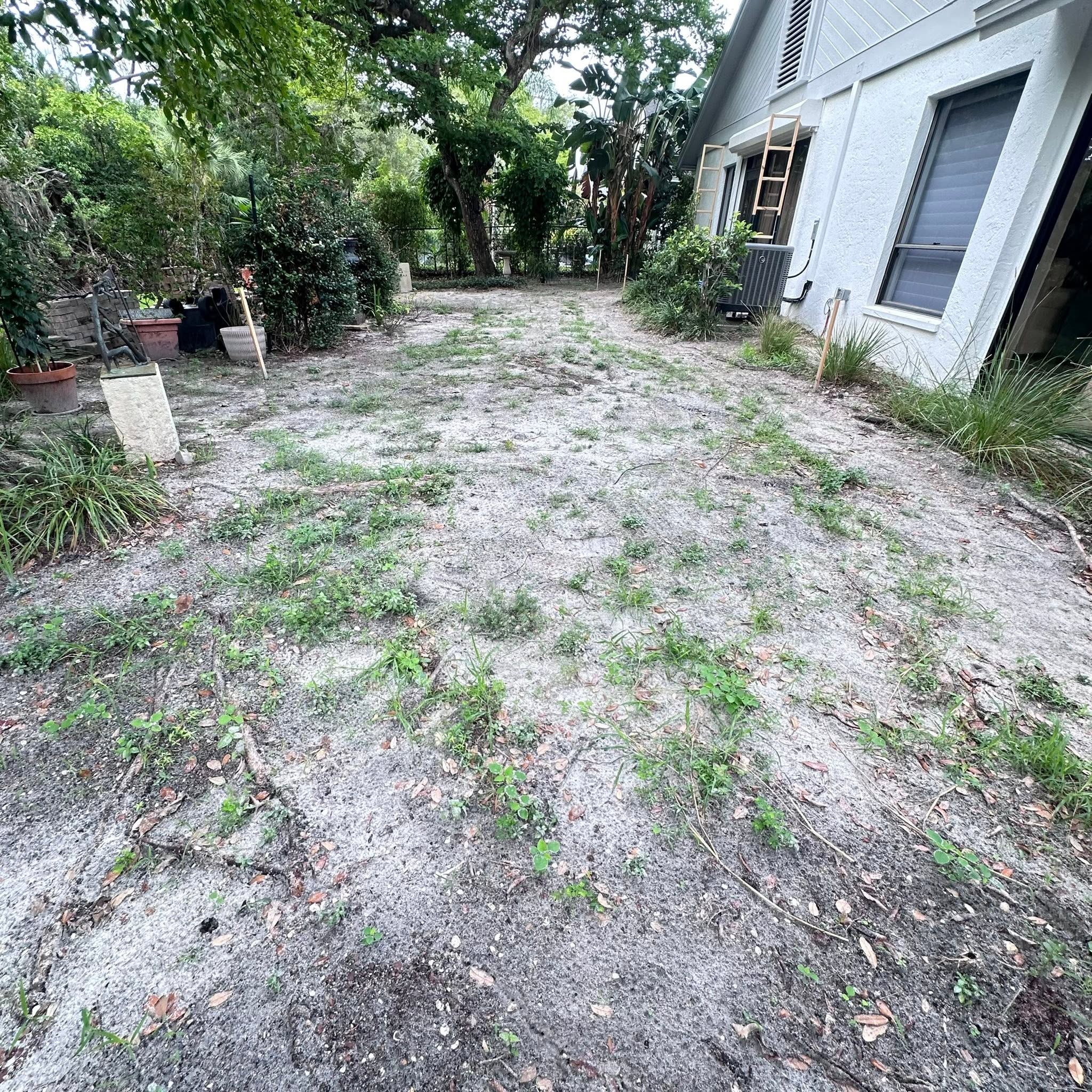 Backyard hardscape restoration